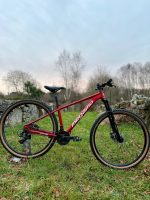 Bicicleta Infantil 27´5" MEGAMO DX3. ROJO - Imagen 2